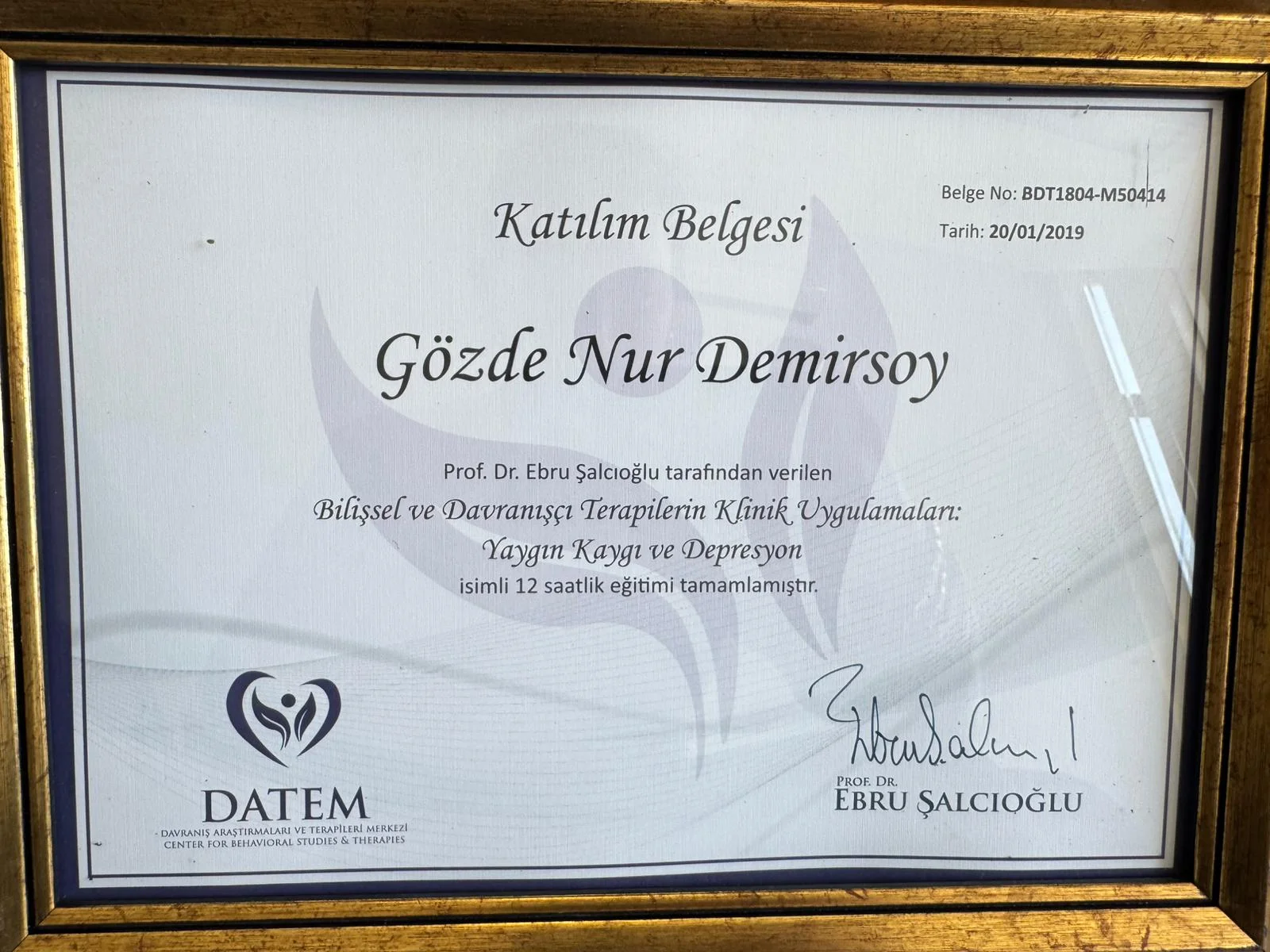 BDT Klinik Uygulamaları