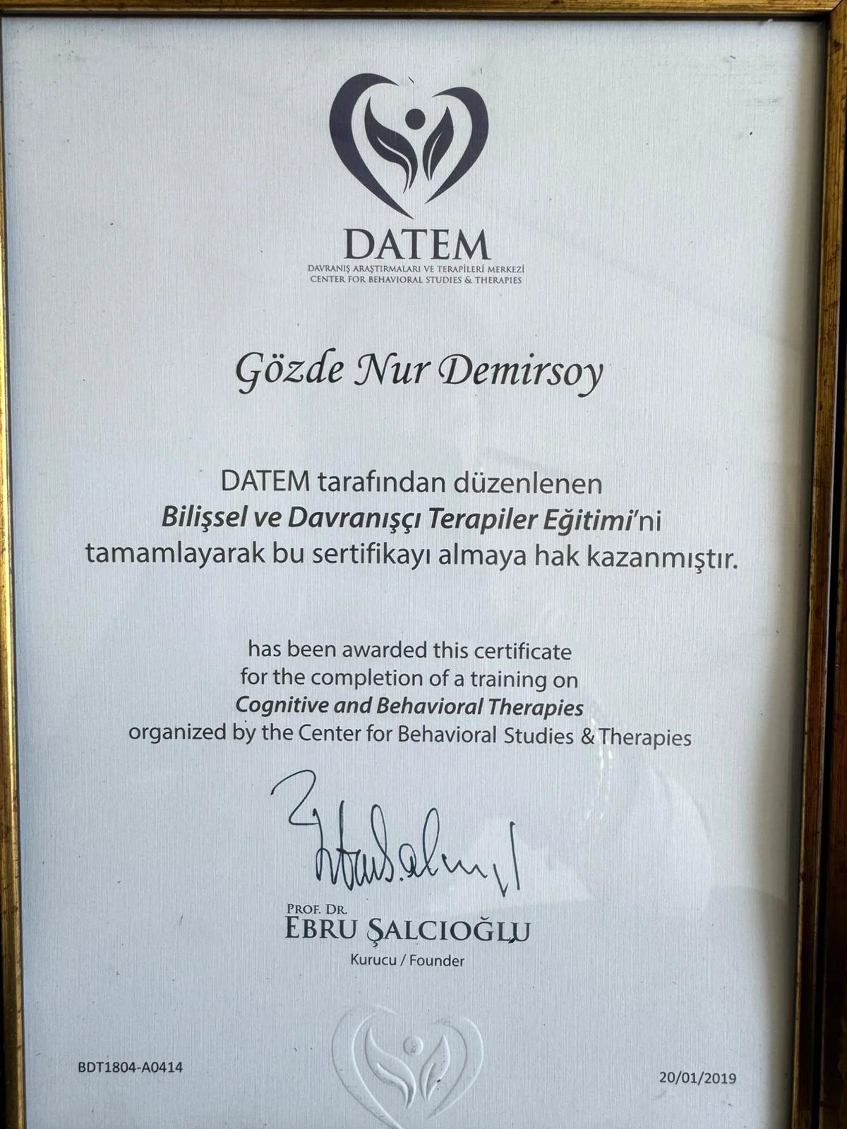 BDT Eğitim Sertifikası